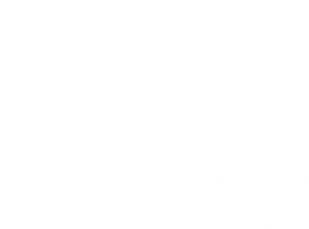 Logo Beautrip