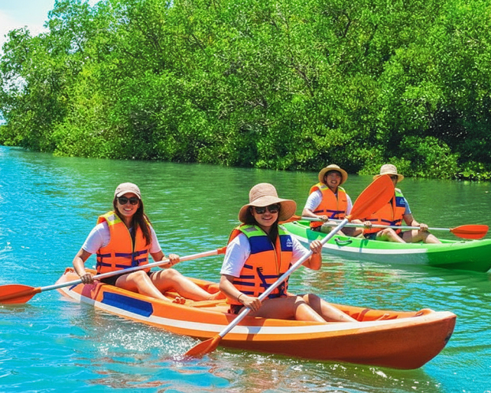 Mangrove Tour