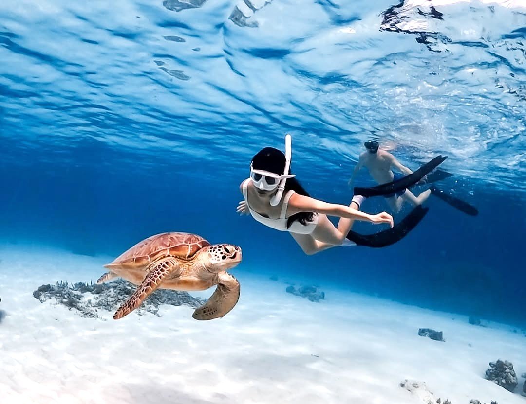 Snorkeling Nusa Penida